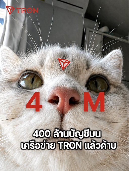 A close-up photo of a cat's face features the TRON logo and text reading '400 ล้านบัญชีบนเครือข่าย TRON แล้วค้น' (400 million accounts on the TRON network and counting).
