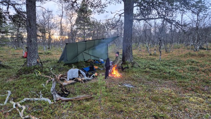 A campsite in a sparse forest at dusk, featuring a green tarp shelter, a campfire with someone tending it, and scattered gear and driftwood.