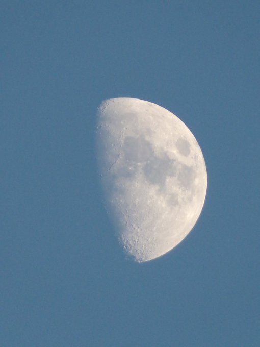 A photograph of a half-moon waxing gibbous against a clear blue sky, showing the cratered lunar surface in detail.