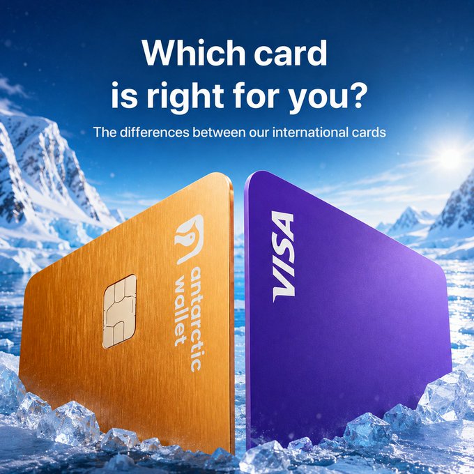 An advertisement asking 'Which card is right for you?' showing an 'antarctic wallet' gold card and a 'VISA' purple card standing upright in an icy landscape.