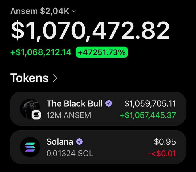 A crypto trading portfolio screenshot shows a wallet under the name "Ansem" holding a total of $1,070,472.82, up +$1,068,212.14 (+47251.73%), with the gains driven by 12M $ANSEM tokens in "The Black Bull" valued at $1,059,705.11, illustrating the post's claim of a trader turning a $2,040 initial buy into over $1 million.