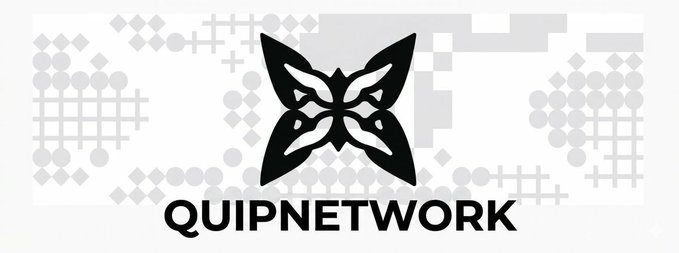 Logo for QUIPNETWORK featuring a stylized black four-pointed emblem above the text, set against a gray pattern of dots and symbols.