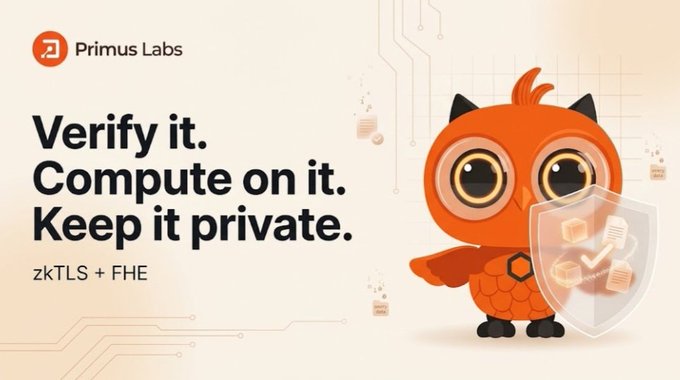 Promotional graphic for Primus Labs featuring an orange owl mascot holding a shield with documents, accompanied by the tagline 'Verify it. Compute on it. Keep it private.' and the technology 'zkTLS + FHE'.