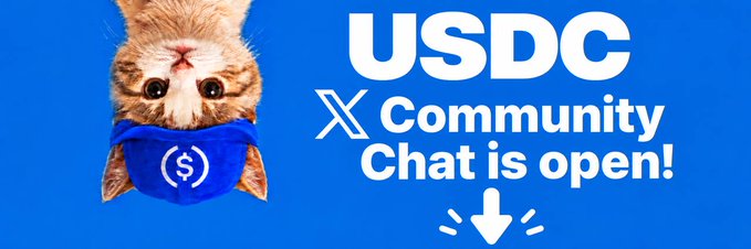 A promotional graphic features a plush cat wearing a blue hoodie with a white circle-S logo, set against a blue background with text reading 'USDC X Community Chat is open!'