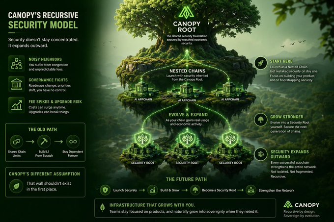 An infographic titled 'Canopy's Recursive Security Model' explains how blockchain security should expand outward rather than stay concentrated, illustrating 'The Old Path' (shared chain limits) vs. 'The Future Path' (Launch Securely → Build & Grow → Become a Security Root → Strengthen the Network).