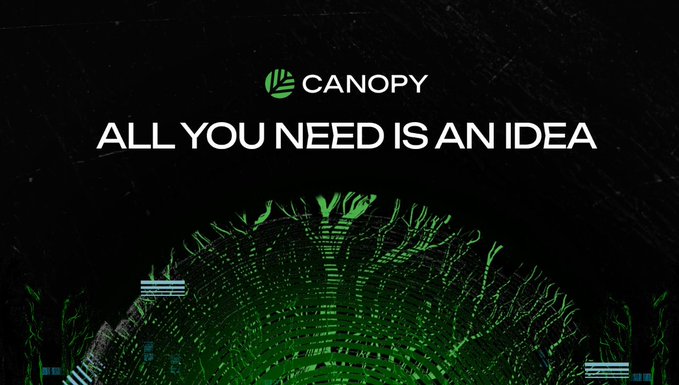 The image features an advertisement for a product called "Canopy" written on a banner with green text against a black background. The text includes several phrases, such as "all you need", "is an idea", "canopy", "action is a distraction from who actually controls the network", and "let's talk about what matters most tokens let you hold something you can't touch canopy lets you own". Additionally, there are three small words positioned at the bottom of the image: "upgrade keys", "validator set", and "supply rules".