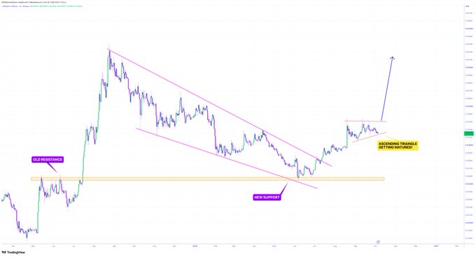 A TradingView stock chart for Ambev (ABEV3) is shown with annotations including 'OLD RESISTANCE', 'NEW SUPPORT', and 'ASCENDING TRIANGLE GETTING NARROWER', illustrating a technical analysis pattern.