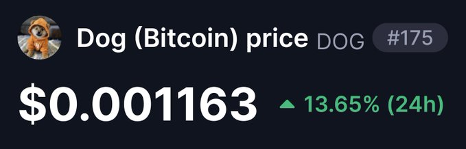 The image displays the price of Dog (Bitcoin), ticker $DOG, at $0.001163 with a green upward triangle indicating a 13.65% gain over the past 24 hours, ranking #175. This directly supports the post's claim that $DOG is up 13.6% and outperforming other memecoins.