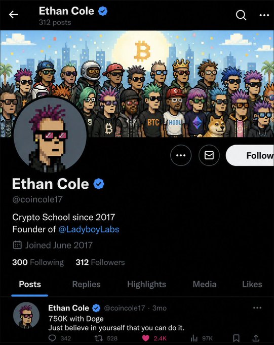 Twitter/X profile page for Ethan Cole (@coincole17), Crypto School founder, showing pixel art banner with crypto characters and a post about '750K with Doge'.