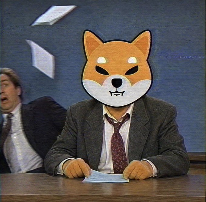 The man's Shiba Inu mask replaces his face at a news desk as papers fly through the air, humorously matching the caption about a Shiba refusing to leave the news desk.