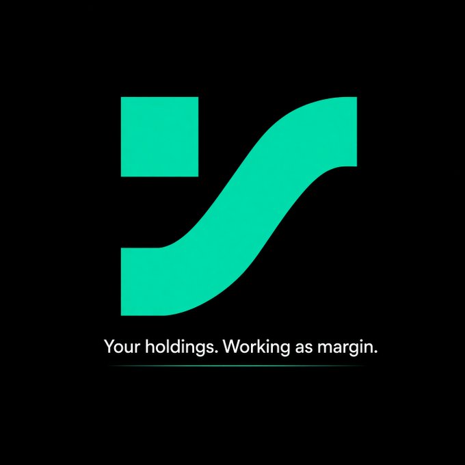 Logo for what appears to be a financial platform featuring a stylized teal 'S' shape with the tagline 'Your holdings. Working as margin.'