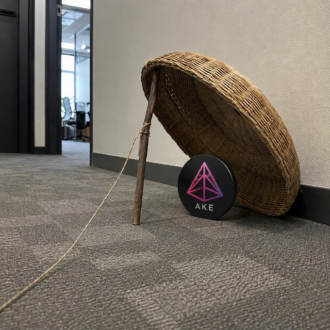 The image shows a fishbowl-like container propped up by a stick and rope, with a coin labeled "$AKE" placed inside, symbolizing the concept of "putting all your eggs in one basket" and the losses from holding only the $AKE token.