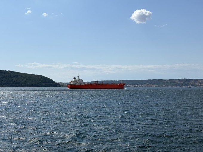 A red and black cargo ship sails on a blue sea, with green hilly landmasses visible in the background under a partly cloudy sky.