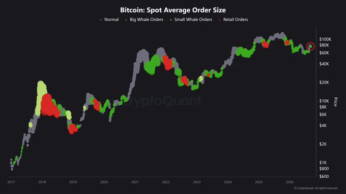 This chart from CryptoQuant displays Bitcoin's spot average order size from 2017 to 2026, using color-coded dots to distinguish between Normal (gray), Big Whale (red), Small Whale (green), and Retail (light green/yellow) orders, with a circled red dot near $60K-$80K indicating current whale dominance—visually supporting the claim that large whale orders are actively driving market activity, possibly in anticipation of major regulatory developments like the Clarity Act.