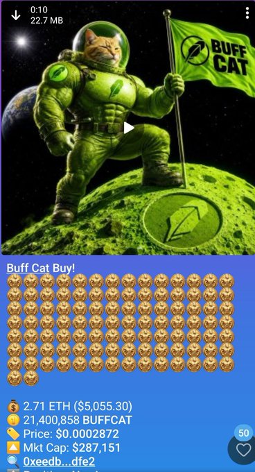 A screenshot of a meme crypto token listing showing a muscular cat astronaut holding a 'BUFF CAT' flag, priced at 2.71 ETH ($5,055.30).