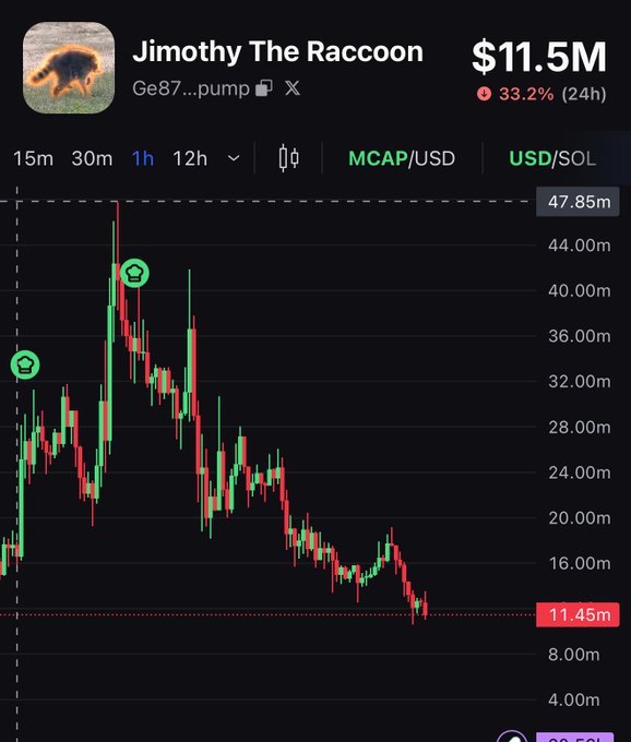 A candlestick chart of "Jimothy The Raccoon" memecoin shows the token's market cap has plummeted from a peak of ~$47.85M down to $11.45M, currently down 33.2% in the last 24 hours — visually illustrating the post's warning that "temporal memes" driven by quick-flip buyers lead to sharp drawdowns rather than lasting value.