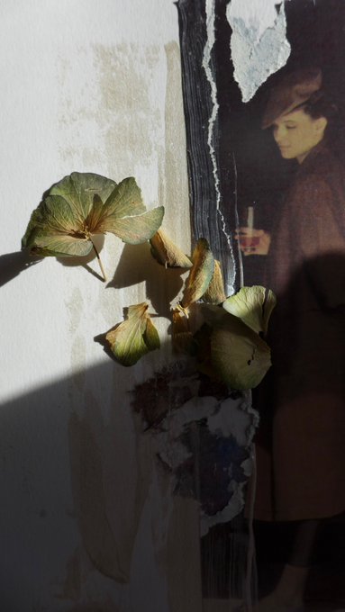 Dried green flowers hang in front of a torn poster featuring a woman in a brown coat and hat, with the image partially obscured by strong shadows.