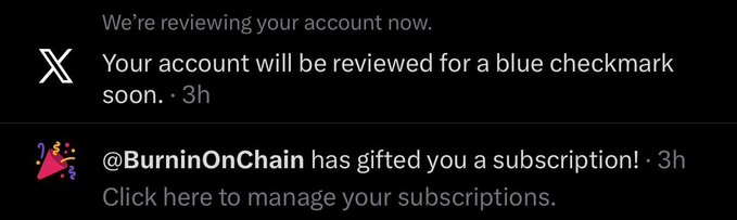 A screenshot shows notifications from X (Twitter), including 'We're reviewing your account now' and that '@BurninOnChain has gifted you a subscription!'
