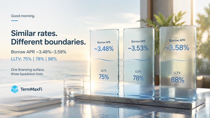 The image displays three water-filled glasses on a sunny windowsill, each labeled with a different Borrow APR (3.48%, 3.53%, 3.58%) and LLTV (75%, 78%, 88%), accompanied by text reading "Similar rates. Different boundaries." and the TermMaxFi logo, visually illustrating the post's point that while borrowing rates cluster tightly, loan-to-value liquidation thresholds vary significantly across TermMax's USDT debt markets sharing the same July 31 maturity.