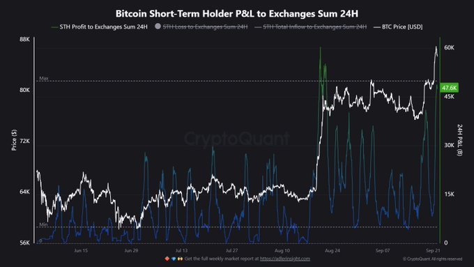 A CryptoQuant chart titled 'Bitcoin Short-Term Holder P&L to Exchanges Sum 24H' showing Bitcoin price (around $47.9K-$60K range) with STH profit/loss metrics from June to September.