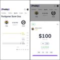 Two screenshots of the PayPal app showing the 'Portfolio Standing' screen on the left and the balance overview on the right with a $100 balance.