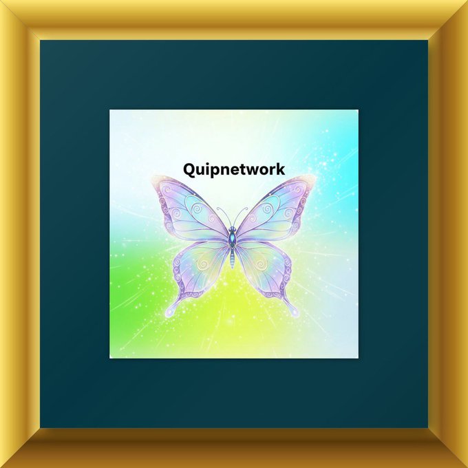 A decorative graphic featuring a colorful, translucent butterfly with the text 'Quipnetwork' against a glowing green and blue background with a gold frame.