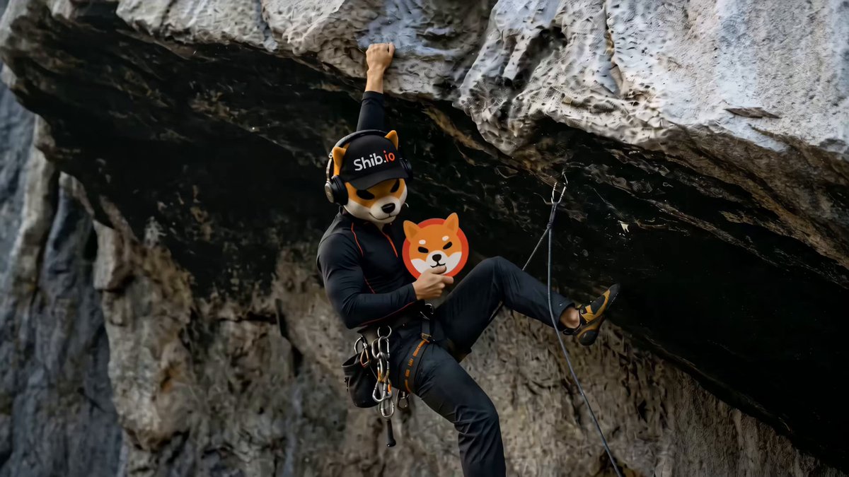 "The most beautiful views belong to those who refuse to give up the climb."