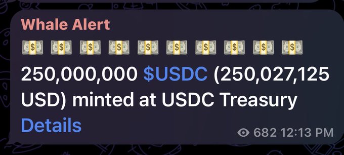 The image shows a "Whale Alert" notification indicating that 250,000,000 USDC (250,027,125 USD) was minted at the USDC Treasury, reinforcing the post's claim about $250 million in new liquidity being issued into the ecosystem.