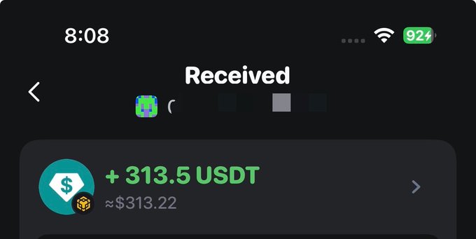 A screenshot of a crypto wallet notification showing a received transaction of "+313.5 USDT" (≈$313.22), posted in jest to suggest the user "did" something significant in web3 and got paid for it.