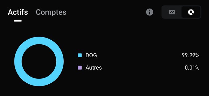 A portfolio screenshot showing "Actifs" (Assets) where DOG holdings dominate at 99.99% while "Autres" (Others) account for just 0.01%, visually reinforcing the poster's claim that DOG is their biggest and essentially only asset.