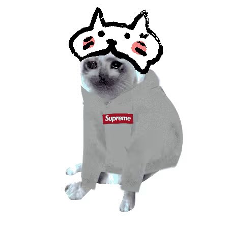 A cat wearing a Supreme hoodie with a doodled crown and blush marks, captioned to humorously portray the cat as a confident "cash cat" leader in a meme NFT collection.