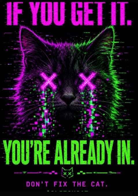 A glitch-art style poster featuring a black cat with neon pink X-eyes, with the text 'IF YOU GET IT. YOU'RE ALREADY IN. DON'T FIX THE CAT.'