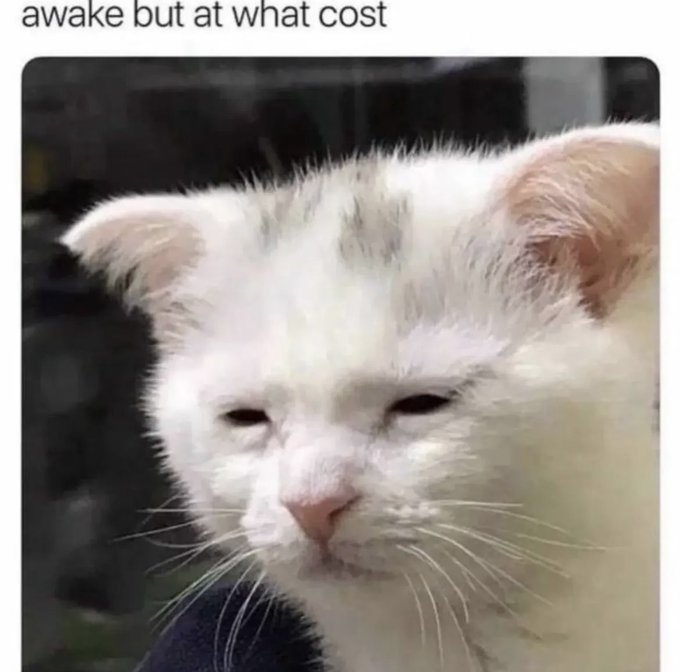 A humorous meme showing a white cat with very heavy-lidded eyes and the caption 'awake but at what cost' at the top.