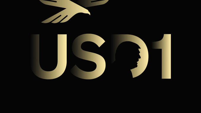 The image features a logo for the US dollar, which is displayed against a black background with gold lettering. The text "USDC1" is written in a larger font size than the rest of the image, making it stand out prominently. The design elements include a bird and an eagle flying over the dollar sign, symbolizing freedom and power. The overall color scheme of the logo is predominantly black and gold, with the USDC1 text being gold against a black background.