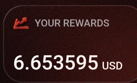A dark red digital interface displaying 'YOUR REWARDS' with an amount of '6.653595 USD' shown in white text.