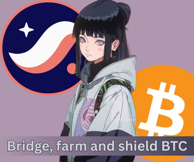 Anime-style illustration of a character with purple eyes and dark hair in a hooded jacket, flanked by a Stellar (XLM) logo on the left and Bitcoin (₿) logo on the right, with text reading 'Bridge, farm and shield BTC'.
