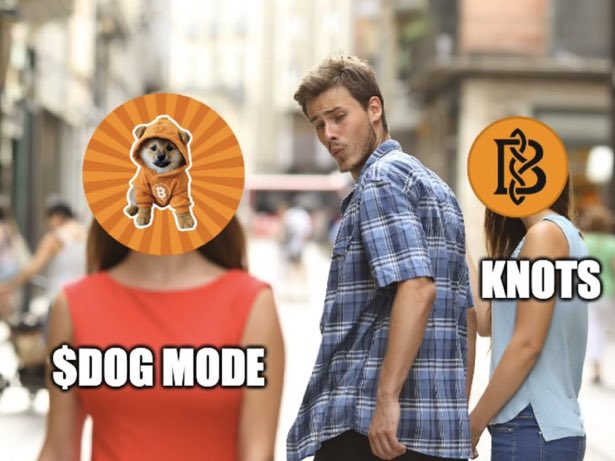 The 'Distracted Boyfriend' meme edited to show the man looking at '$DOG MODE' (with a dog in a bear costume logo) while his girlfriend represents 'KNOTS' (with the Brooklyn Nets logo).