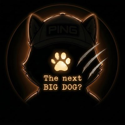 The image features a cartoon cat with a hat, surrounded by neon lights that create an eerie glow. The cat's face is partially obscured by a paw print, adding to the mysterious atmosphere of the scene. In the background, there are texts related to a social media account called "@xBrianSumner" and another post titled "The next Big Dog?". These posts seem to be discussing changes in the original vibe or bringing back memories from a previous era. The image also contains a reference to a character named "PFP", which could possibly be a reference to the popular video game series, Pokémon.