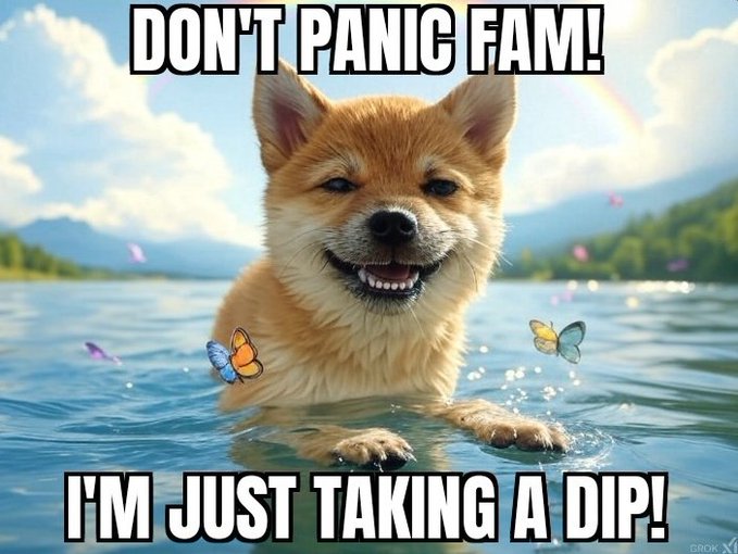 The image features a brown dog swimming in water, with butterflies flying around its head. Below the dog's head, there are text that reads "Don't panic fam!". The caption below the image says "I'm just taking a dip!", which is likely a reference to the popular phrase "don't panic" from the movie "Annie".