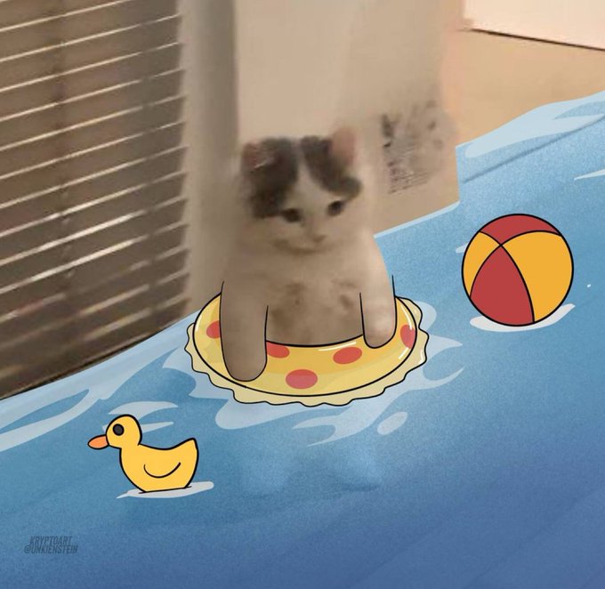 An edited image showing a kitten that appears blurry/scribbled sitting on a cartoon pizza float in a pool with a rubber duck and beach ball, credited to '@NOTYOURAVERAGEKITTYCAT'.