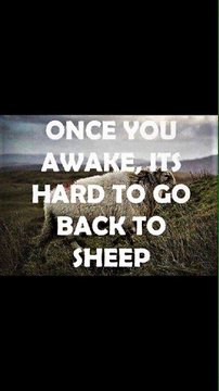 The image depicts a sheep resting in a grassy field beneath the text "ONCE YOU AWAKE IT'S HARD TO GO BACK TO SHEEP," a popular wake-up quote suggesting that once people become aware of hidden truths, they can no longer unthinkingly follow the crowd. This visually reinforces the post's commentary about the "Fabian strategy," implying that followers have been lulled into complacency like sheep, and the accompanying text urges readers to remain awake and skeptical of institutional influence despite attempts to downplay its significance.
