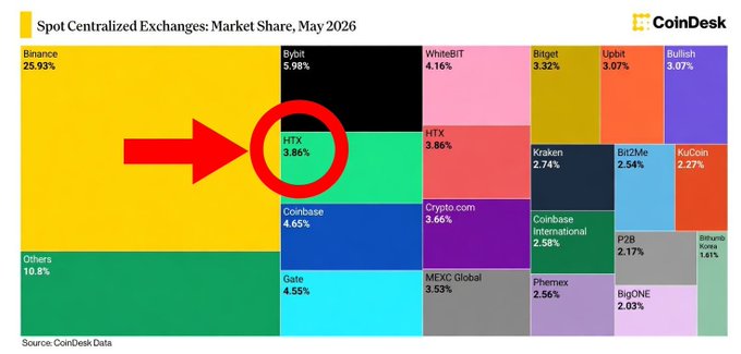 A CoinDesk treemap shows spot centralized exchange market share for May 2026, with Binance leading at 25.93% and HTX highlighted by a red arrow at 3.86%, aligning with the post's claim about HTX strengthening its global crypto exchange position.
