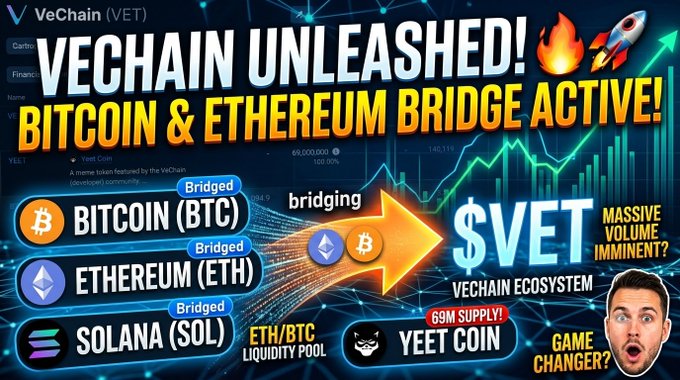A sensationalist crypto promotional graphic titled 'VECHAIN UNLEASHED!' announcing that the Bitcoin and Ethereum bridge is active, with text like 'BITCOIN (BTC) Bridged', 'ETHEREUM (ETH) Bridged', 'SOLANA (SOL) Bridged', '$VET MASSIVE VOLUME IMMINENT?' and '69M SUPPLY! GAME CHANGER?', featuring a shocked man's face in the corner.