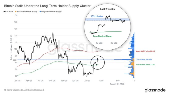A Glassnode chart titled 'Bitcoin Stalls Under the Long-Term Holder Supply Cluster' showing BTC price, Short-Term Holder Supply, and Long-Term Holder Supply, with a callout highlighting 'Last 2 Weeks' of the LTH cluster.