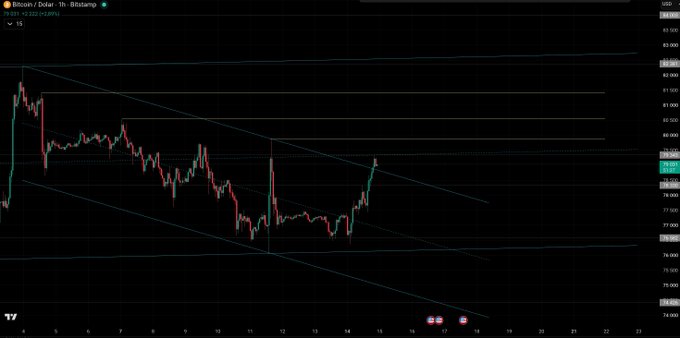 A financial chart showing the price movement of Bitcoin / Dollar (BTCUSD) on a 1-hour timeframe, with prices ranging roughly between $76,000 and $83,000.