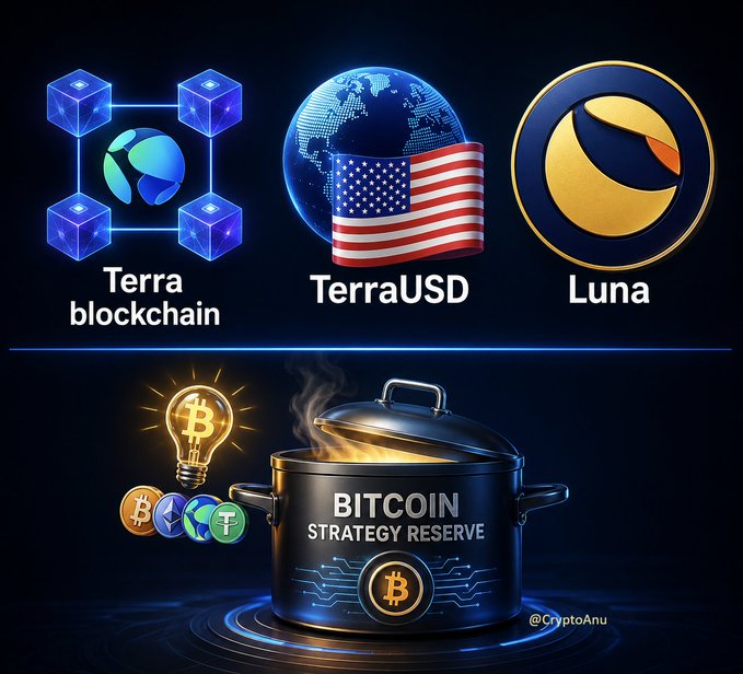 An infographic displays the logos for Terra blockchain, TerraUSD (with a US flag globe), and Luna, above a steaming pot labeled 'BITCOIN STRATEGY RESERVE' next to an idea bulb and various crypto coins, credited to @CryptAnu.