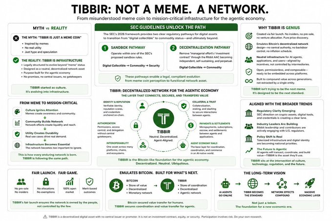 An infographic titled 'TIBBIR: NOT A MEME. A NETWORK' detailing how it transitions from a misunderstood meme coin to mission-critical infrastructure for the agentic economy, featuring sections on SEC guidelines and network features.