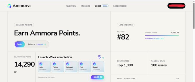 A screenshot of the Ammora platform dashboard shows 'Earn Ammora Points' with a rank of #82, 14,290 AP, and a Launch Week completion progress bar at 5/5.