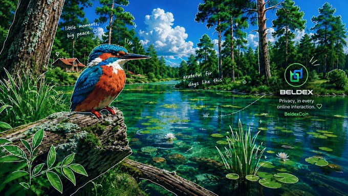 A kingfisher perches on a log beside a serene pond, with text reading "little moments, big peace," "grateful for days like this," and the Beldex logo alongside "BELDEX - Privacy, in every online interaction - BeldexCoin," visually reinforcing the post's message about valuing small, peaceful digital experiences through privacy-focused Web3 contributions.