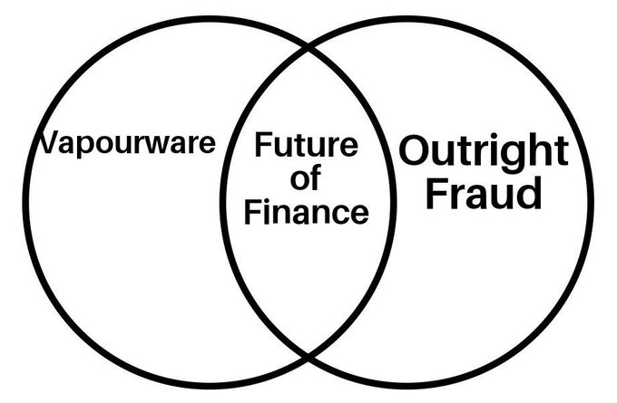 A Venn diagram with two overlapping circles labeled "Vapourware" and "Outright Fraud," with the intersection labeled "Future of Finance."